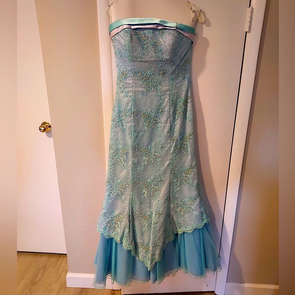 Gorgeous, Barely Worn Formal Gown